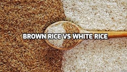 Brown rice Vs white rice: Which one is best for you when you are trying to lose weight?