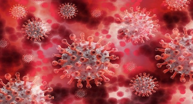 Experts identify biomarkers that could help predict severe SARS-CoV-2 infection