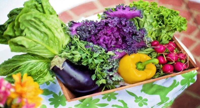 Fatty Liver Diet: फैटी लिवर में फायदेमंद हैं ये 5 फूड, अल्कोहॉलिक और नॉन अल्कोहॉलिक फैटी लिवर रोगी जरूर करें सेवन