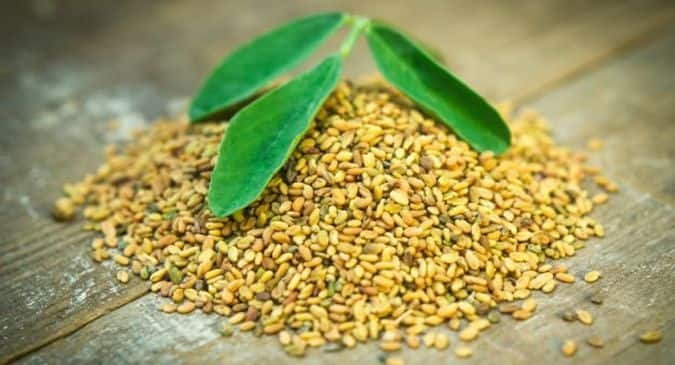 Diabetes Can fenugreek help manage blood sugar levels