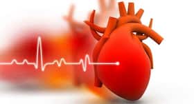 Cardiovascular diseases: How the treatment for heart diseases has evolved?