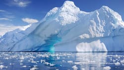 Coronavirus reaches last untouched continent Antarctica, 58 people test positive
