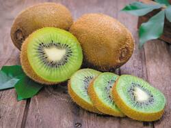 Kiwi Fruit Health Benefit: सर्दियों में कीवी खाने के फायदे ।