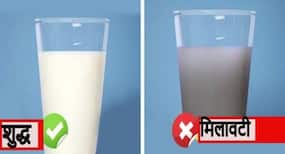 दूध असली है नकली बस 5 मिनट में पहचानें! इन 5 तरीकों से लगाएं मिलावटी दूध का पता