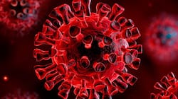 Covid-19 virus particles on surfaces remain infectious ‘longer’ during winter