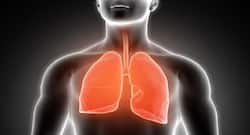 फेफड़ों को प्रदूषण से बचाने का आयुर्वेदिक तरीका, फेफड़ों की देखभाल करने के उपाय