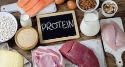 Protein Week 2021: Include A Source Of Protein In Every Meal