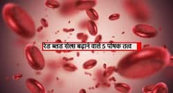 रेड ब्लड सेल्स (लाल रक्त कोशिकाओ) की कमी को दूर करते हैं ये 5 पोषक तत्व, रेड सेल्स की कमी से होती हैं ये बीमारियां