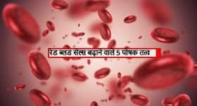 रेड ब्लड सेल्स (लाल रक्त कोशिकाओ) की कमी को दूर करते हैं ये 5 पोषक तत्व, रेड सेल्स की कमी से होती हैं ये बीमारियां