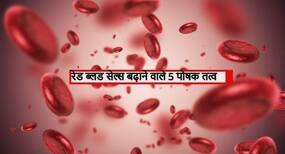 रेड ब्लड सेल्स (लाल रक्त कोशिकाओ) की कमी को दूर करते हैं ये 5 पोषक तत्व, रेड सेल्स की कमी से होती हैं ये बीमारियां