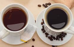 Black tea vs black coffee: जल्‍दी वजन घटाने के लिए ब्‍लैक टी पीनी चाहिए या ब्‍लैक कॉफी? जानिए यहां