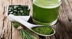 व्‍हीटग्रास जूस पीने के फायदे और नुकसान, इम्‍यूनिटी बूस्‍टर ड्रिंक्‍स