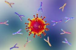 वैक्‍सीन लेने के कितने दिन तक शरीर में एंटीबॉडी बने रहेंगे?