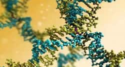 A new test can now detect COVID-19 antibodies in seconds: Quantify patient response to vaccines