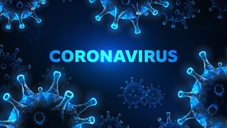 Immune system of recovered coronavirus patients can fight the variants