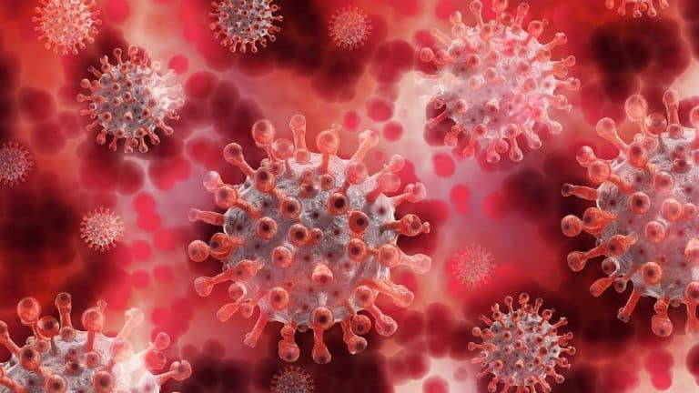 Coronavirus spike proteins may evolve to evade human immune system