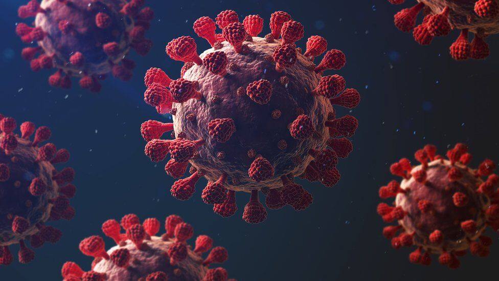 Protective immunity against novel coronavirus may last for over years: Study