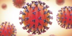 COVID-19: New tool can help decontaminate viruses in aerosols. Know more about it