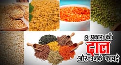 विश्व पल्सेज डे 2021, दाल के प्रकार और दाल खाने के सेहत लाभ