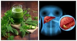 लिवर के लिए फायदेमंद होता है करेले का जूस, जानिए फायदे