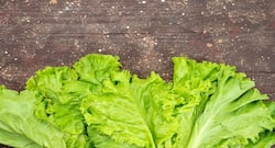 सर्दियों में सरसों का साग खाने के फायदे