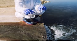 Genome sequencing of sewage water can help discover new coronavirus variants: US scientists