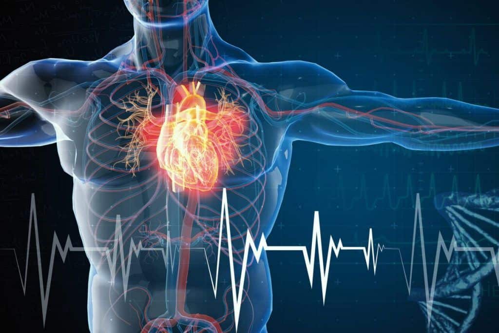 Heart health