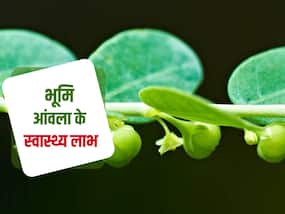 भूमि आंवला या भुई आंवला क्‍या है जानिए इसके फायदे