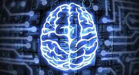 Covid-19 likely to have a negative impact on the brain in the long run: Study