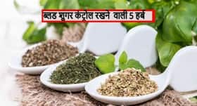 Diabetes: ये 5 जड़ी बूटियां करेंगी ब्लड शुगर लेवल को कम, जानें फायदेमंद आयुर्वेदिक नुस्खे
