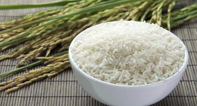 Fortified Rice Benefits in Hindi: सीएम योगी आदित्यनाथ ने कहा, कुपोषण के