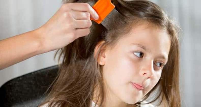 Head Lice Home Remedies : क्या आपके बच्चे के सिर में हो गयी हैं जुएं, आज़माएं ये 5 घरेलू तरीके, मिलेगा छुटकारा