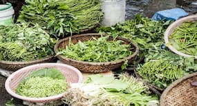 सर्दियों में चने का साग खाने के फायदे