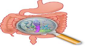 Pinworms: Easy home remedies to treat this intestinal infection