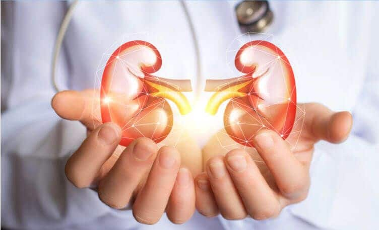 Kidney cancer: Blood in the urine and other signs you should never ignore