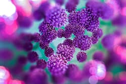 Covid-19 variant detected in UK  may be ‘more deadly than the older virus strain’