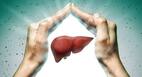 Liver Diseases: लिवर से संबंधित इन 6 गंभीर बीमारियों को ना करें नजरअंदाज, दिखें ये लक्षण तो जरूर करें डॉक्टर से संपर्क