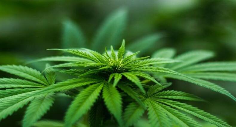 thehealthsite.com top news