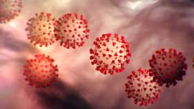 New COVID-19 variants suspected in Delhi, Lt Governor directs genome sequencing testing
