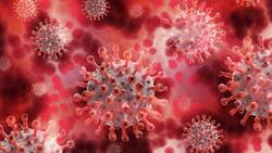 Highly contagious COVID-19's UK variant found in Sri Lanka for 1st time