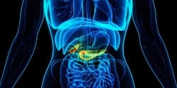 Pancreatic cancer: Combination therapy may be able to suppress tumour growth significantly
