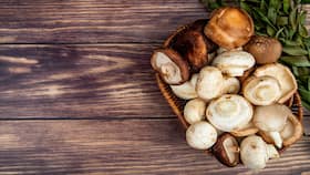 Adding mushrooms to your diet can help increase shortfall nutrients, reach dietary goals