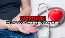 Not all good cholesterol is healthy, they can raise heart disease risk: Experts warn