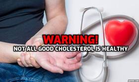 Not all good cholesterol is healthy, they can raise heart disease risk: Experts warn Not all good cholesterol is healthy, they can raise heart disease risk: Experts warn