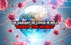 UK variant of Covid-19 will 'sweep the world', top scientist warns