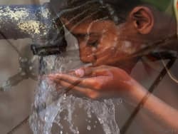 Tap water access in Delhi linked to dengue infection risk: Study