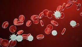 Blood Cancer Myths: क्या ब्लड कैंसर के मरीज का बचना मु्श्किल है?