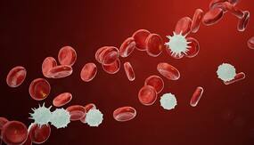 Blood Cancer Myths: क्या ब्लड कैंसर के मरीज का बचना मु्श्किल है?