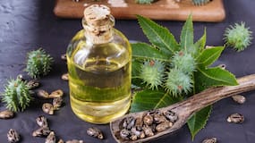 Castor Oil Benefits: ब्रेस्ट कैंसर में कैसे फायदेमंद है अरंडी का तेल? Castor Oil Benefits: ब्रेस्ट कैंसर में कैसे फायदेमंद है अरंडी का तेल?