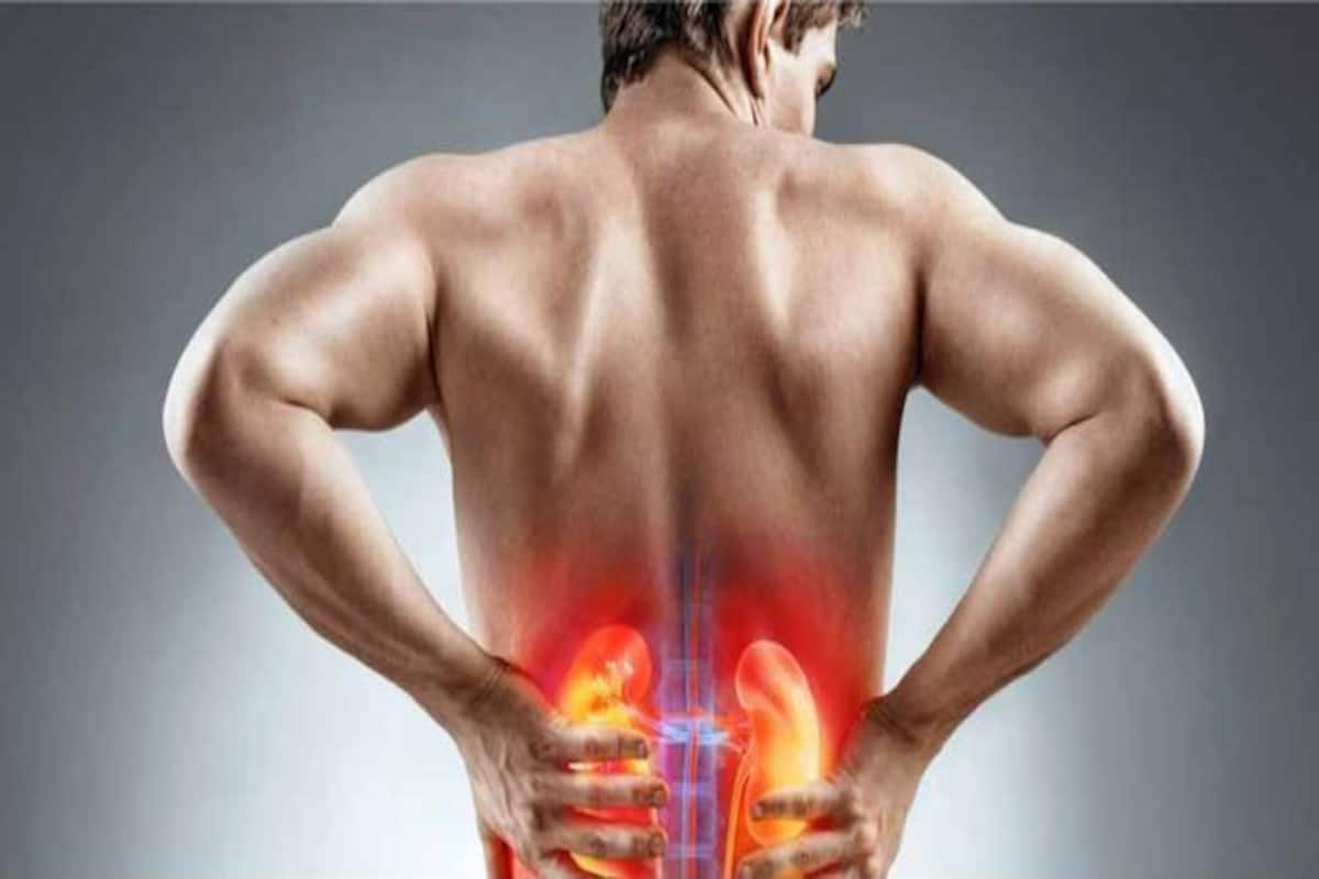 Causes Of Kidney Pain In Hindi क डन म दर द ह न क 10 ग भ र क रण और लक षण Thehealthsite Com ह द